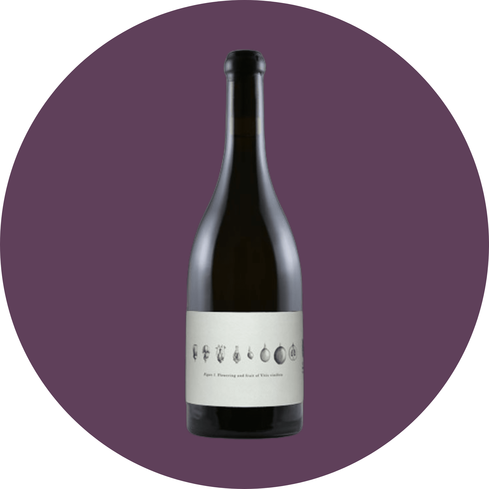 Image of bottle of wine