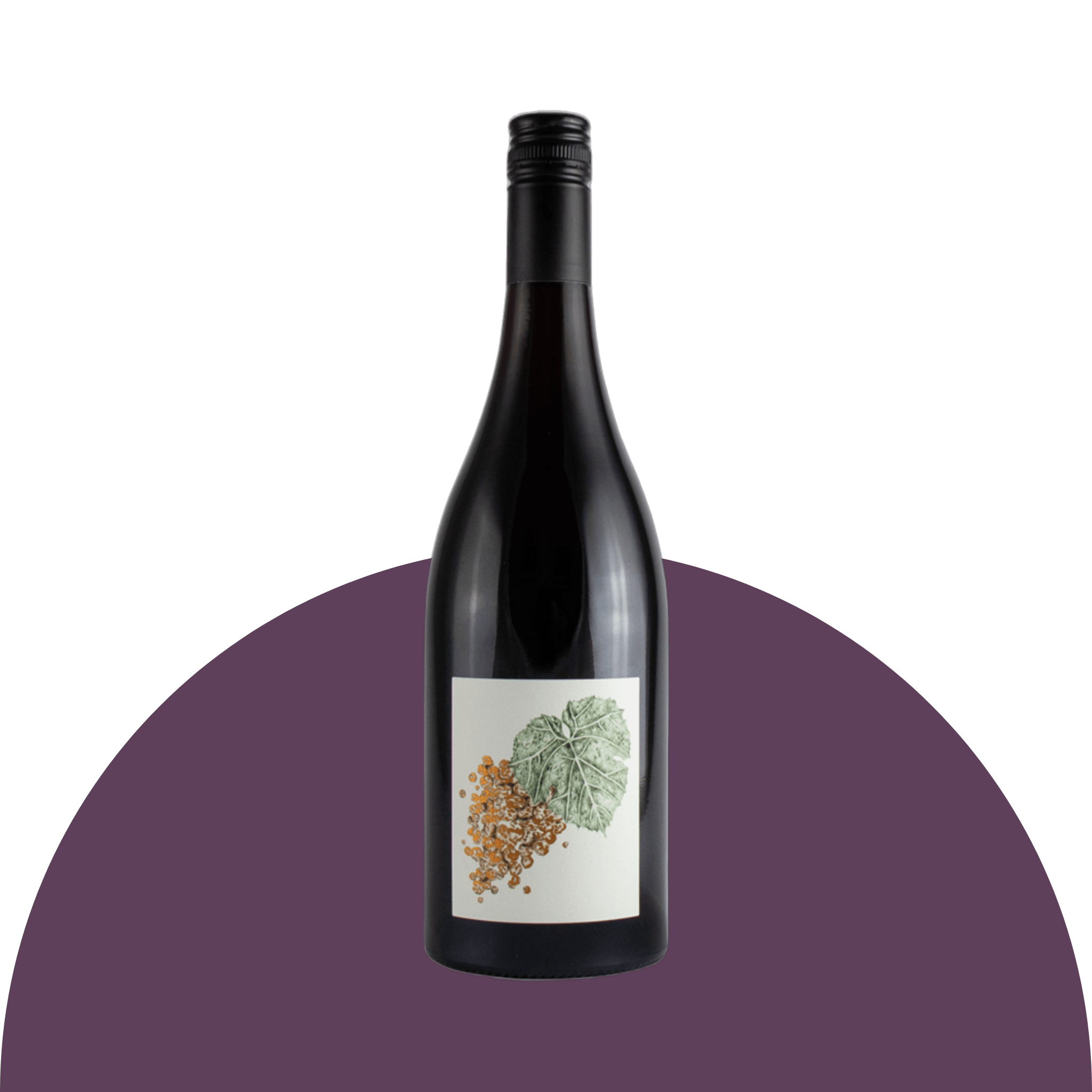 Image of bottle of wine