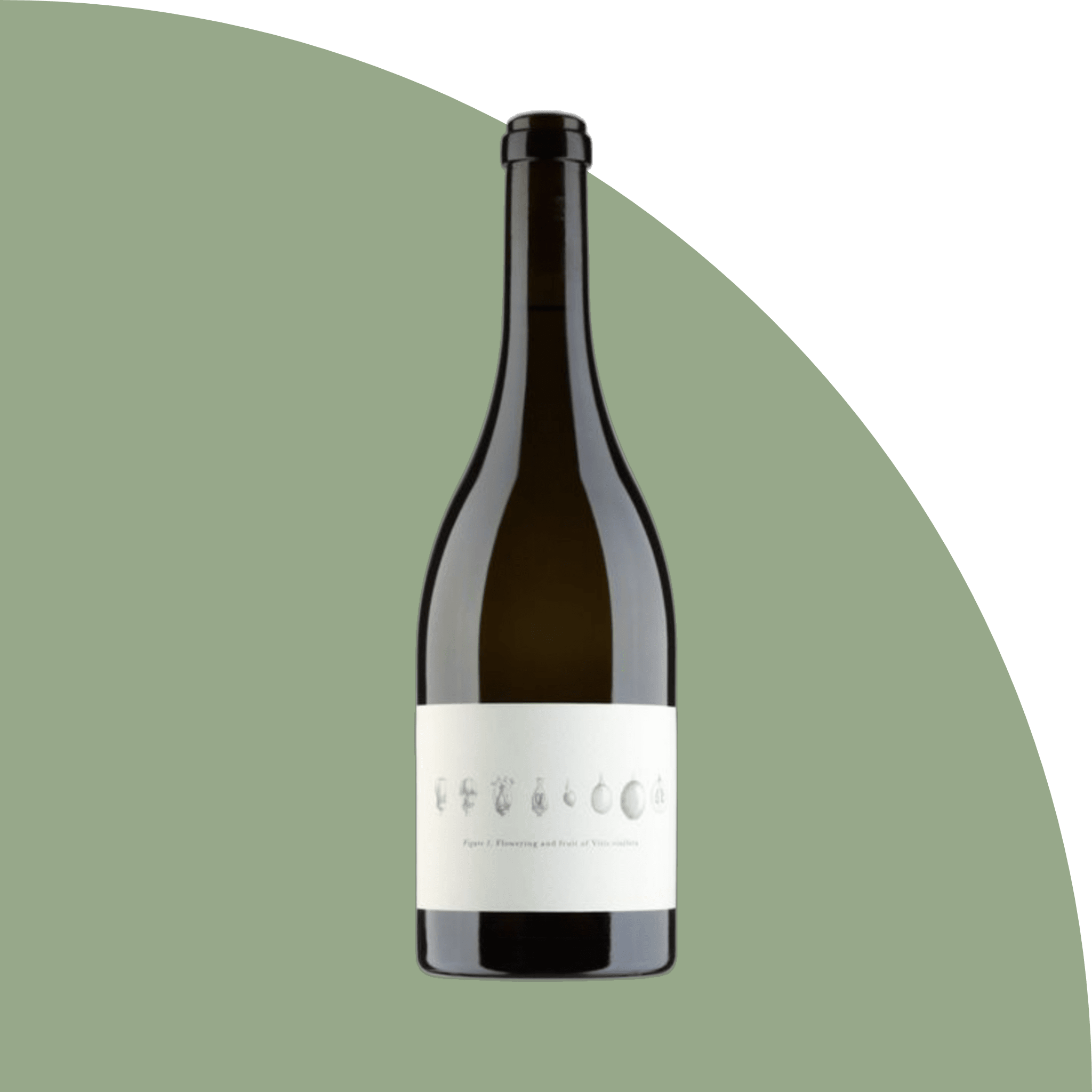 Image of bottle of wine