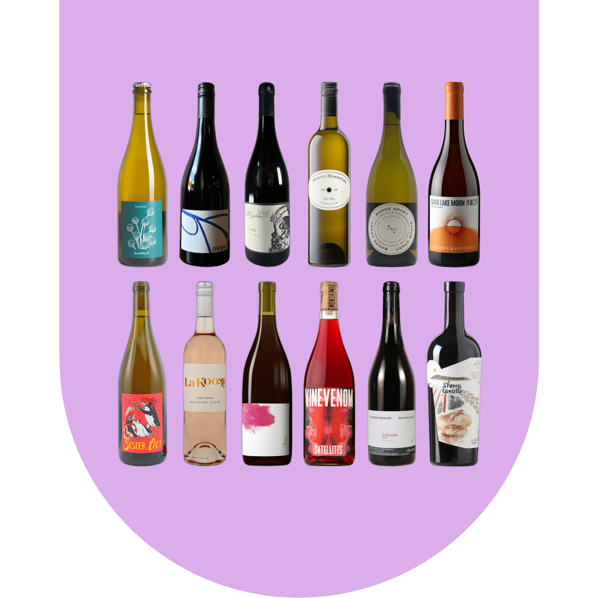 Monthly_Wines_2025-11.png