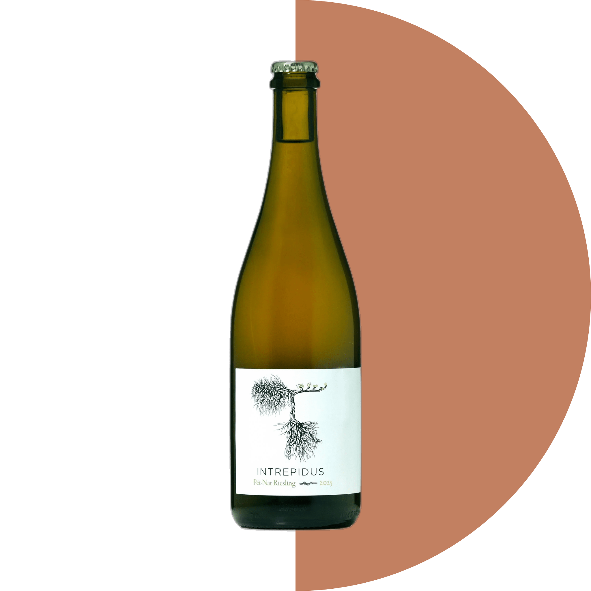 Image of bottle of wine