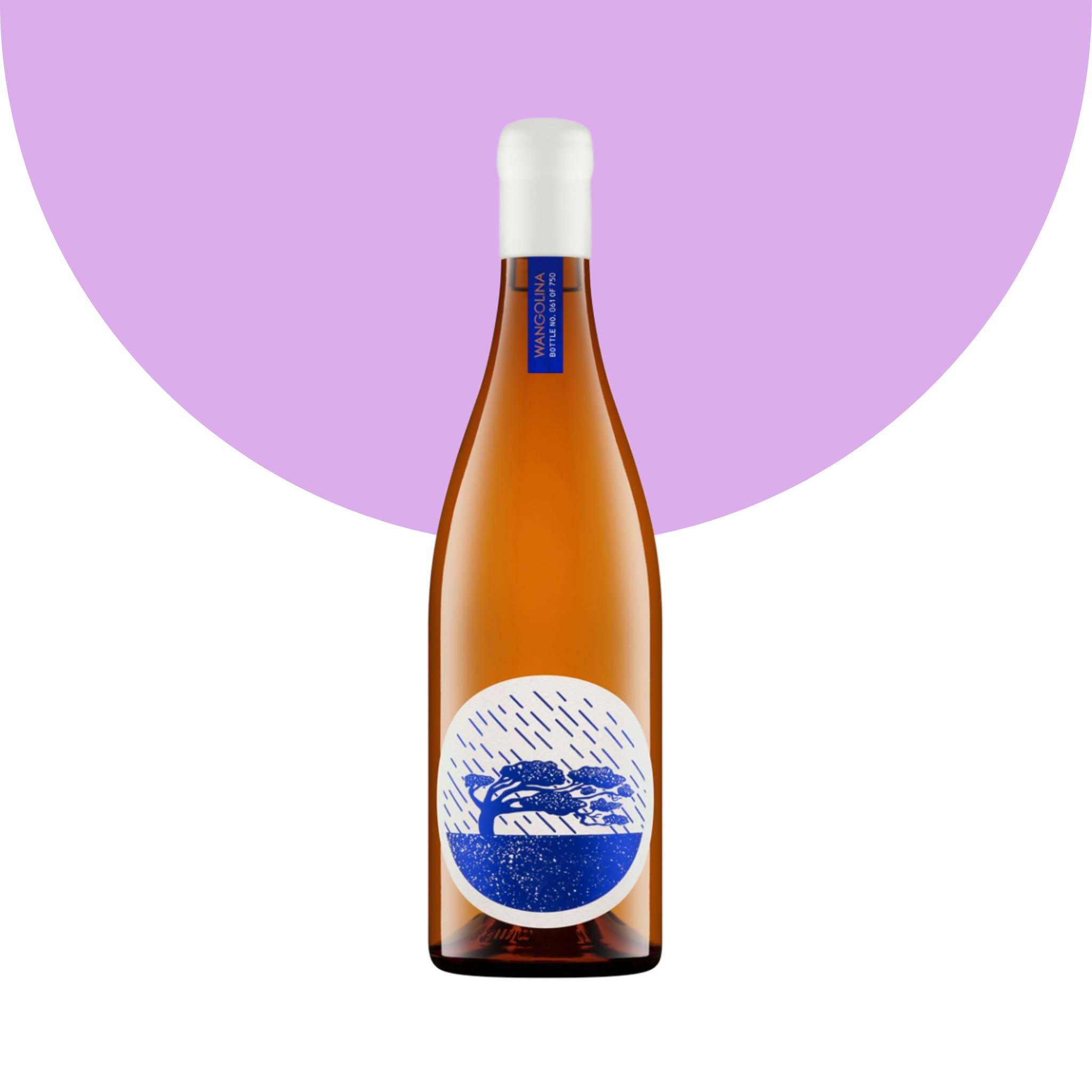 Image of bottle of wine