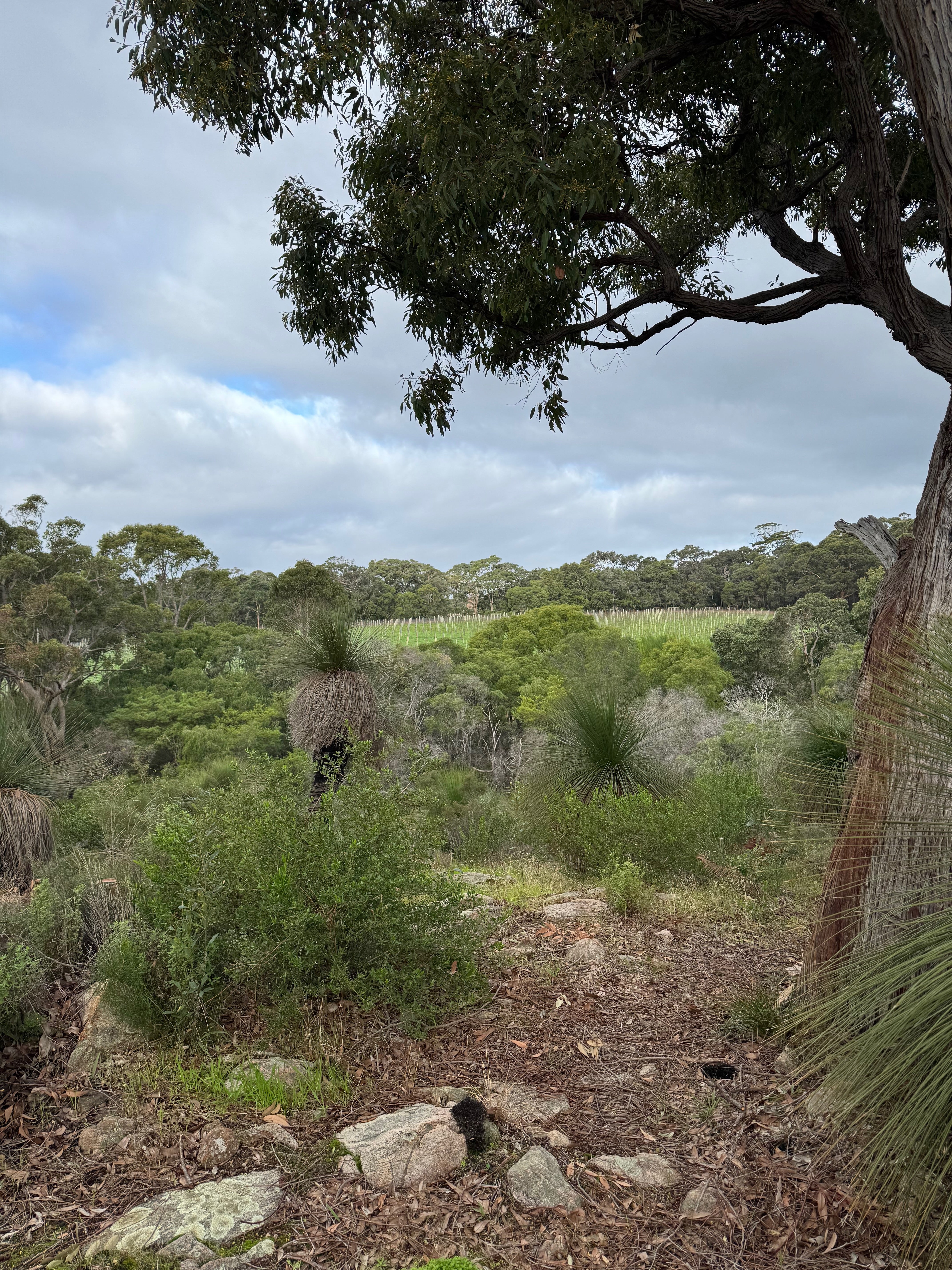 Outstanding Woman-Made Wines of Margaret River, WA